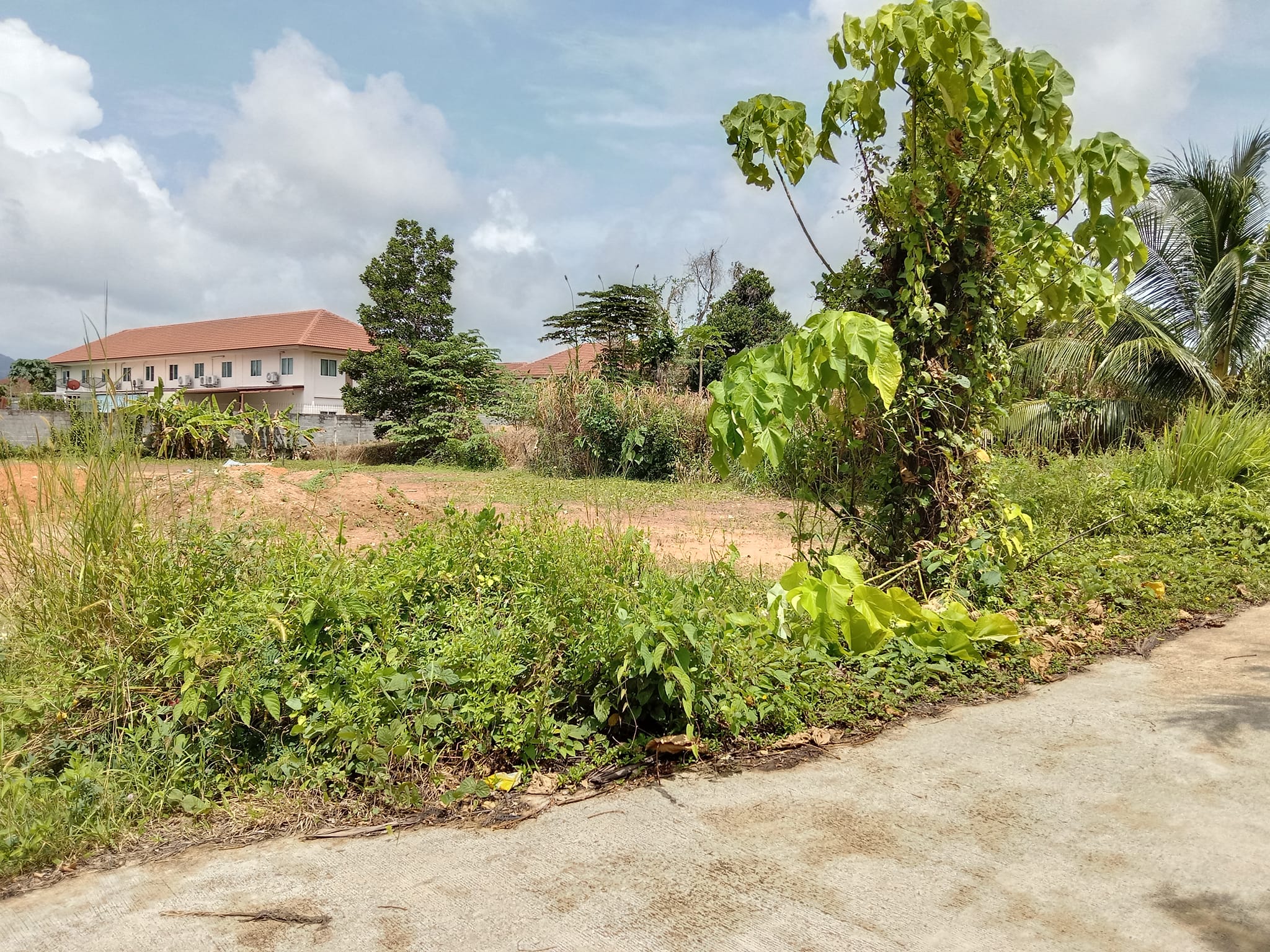 Land 1.5 rai for sale in Paklok 5 min to new Robinson lifestyle Aqua