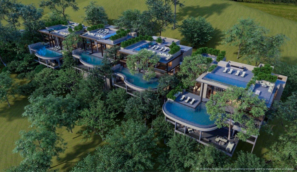 Project Perspective