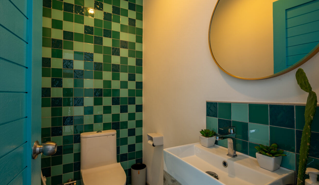 baan-bowie-december-18-2024-115