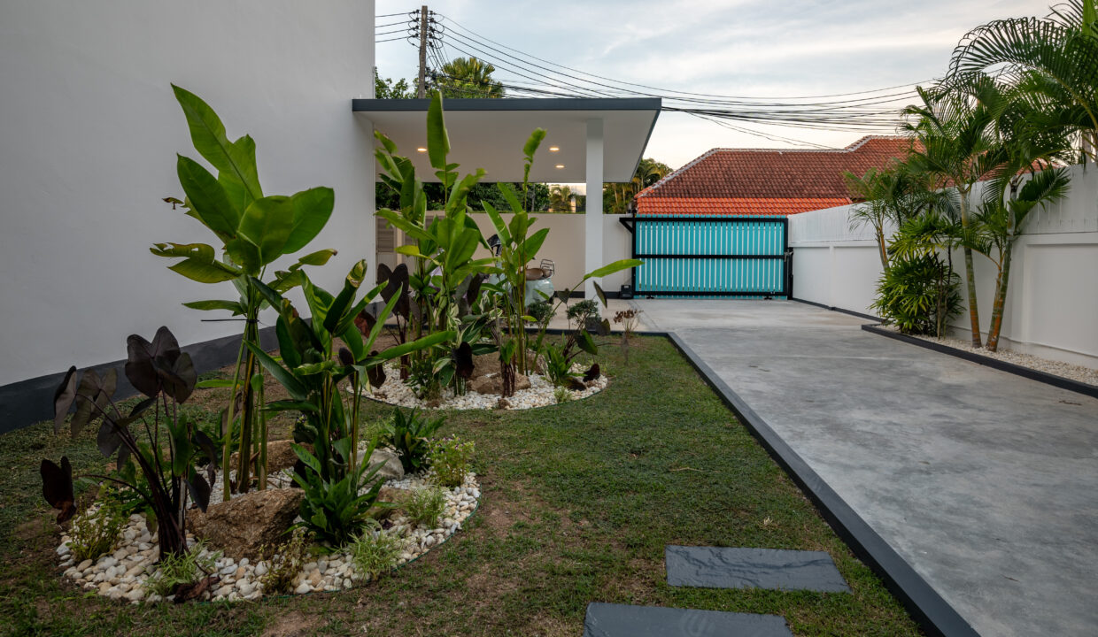 baan-bowie-december-18-2024-121