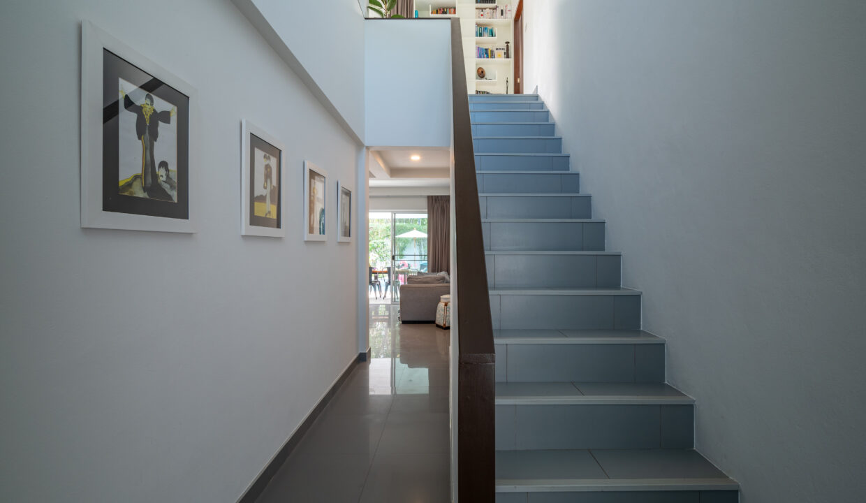 baan-bowie-december-18-2024-18