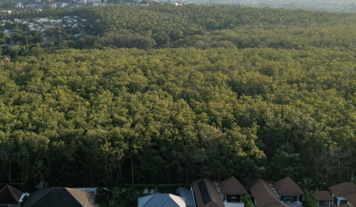 baan-bowie-december-18-2024-3