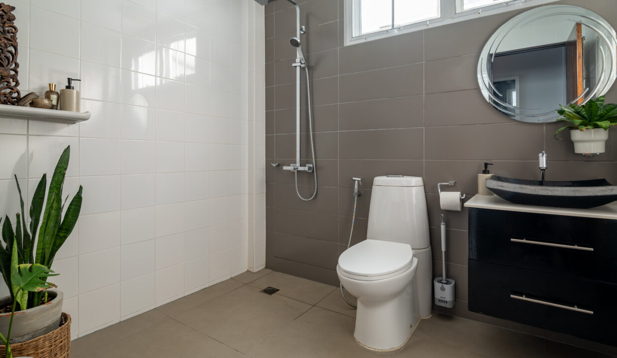 baan-bowie-december-18-2024-31