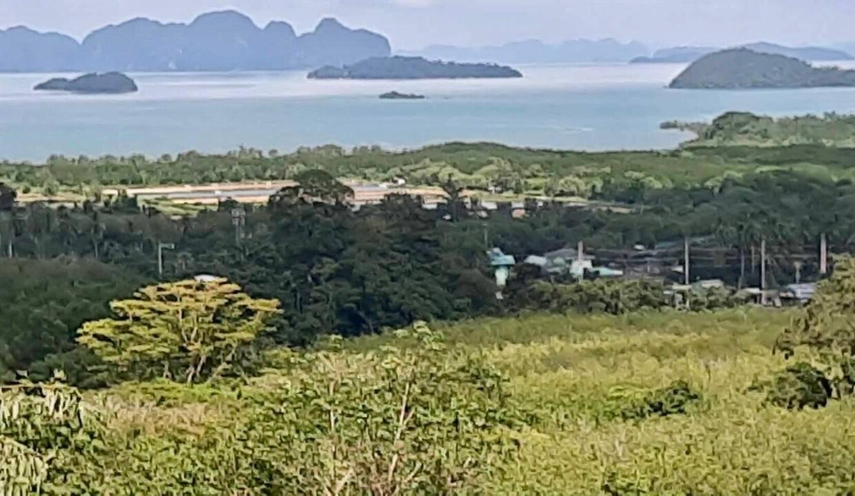 WhatsApp Image 2569-02-12 at 16.18.52