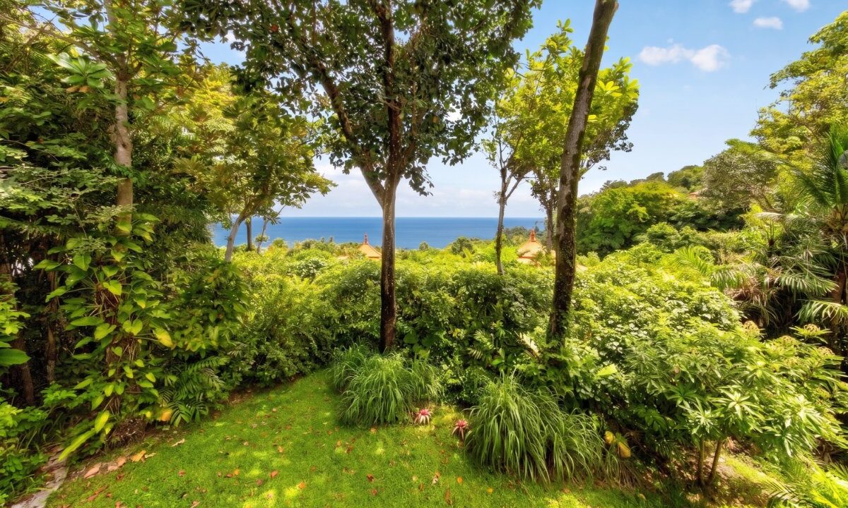Signature Resort Villa 36 8