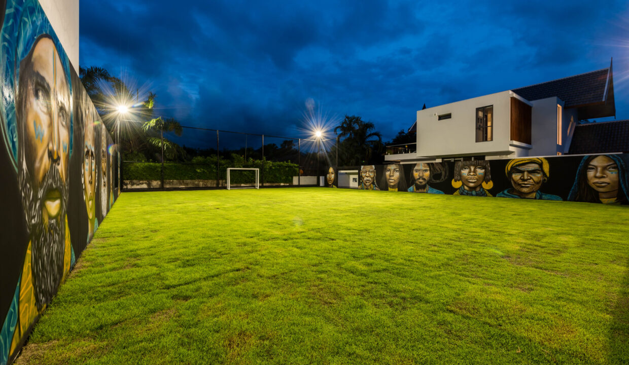 Football Pitch, Paloma07