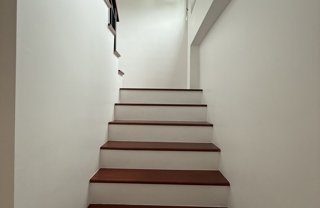 S__36192563